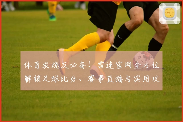 体育发烧友必备!雷速官网全方位解锁足球比分、赛事直播与实用攻略