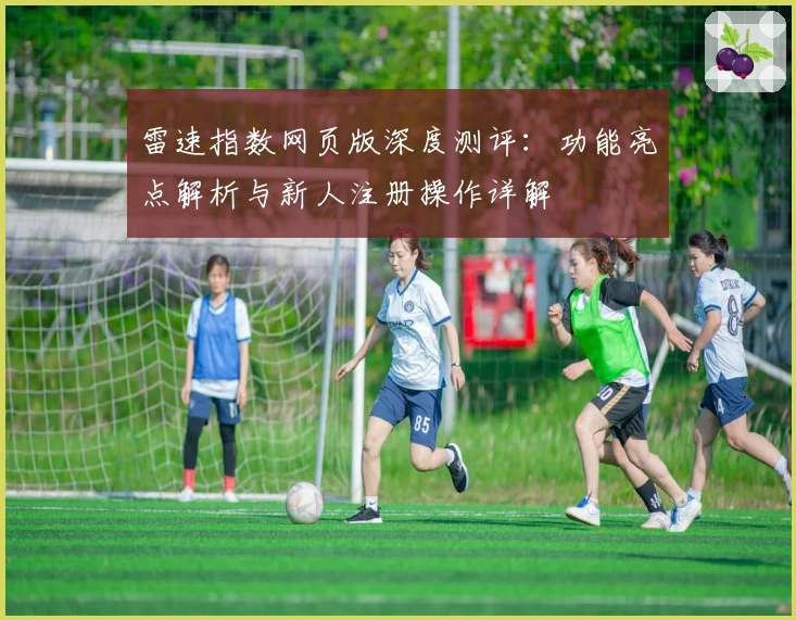 雷速指数网页版深度测评：功能亮点解析与新人注册操作详解